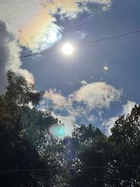 Low angle view of trees against sky on sunny day