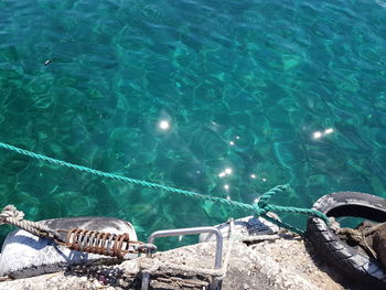 High angle view of turtle in sea