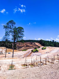 Trees on field against blue sky