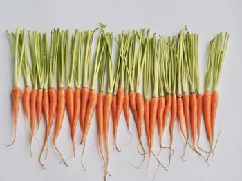 High angle view of vegetables against white background