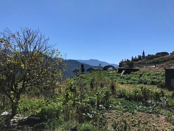 Scenic view of landscape against clear blue sky