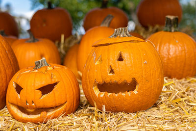 Jack o lantern on field