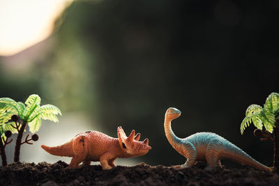 Close-up of dinosaur figurines