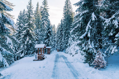 Scenic view of snow covered landscape