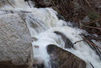 Water flowing through rocks in forest