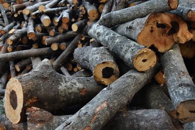 Full frame shot of logs