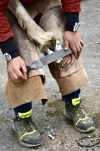 Farrier cleaning the horse hoof before putting another shoe. traditional job  in camargue, france.