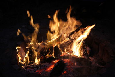 Close-up of bonfire at night