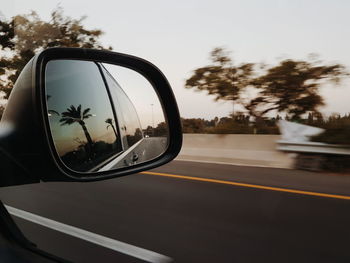 Reflection of car on side-view mirror