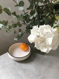 High angle view of white rose on table