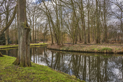 Scenic view of lake in forest