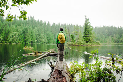 Rear view of man standing on driftwood at lakeshore