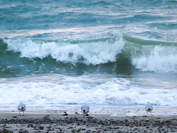 Waves rushing towards shore