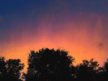 Low angle view of silhouette tree against orange sky