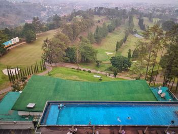 High angle view of trees on landscape