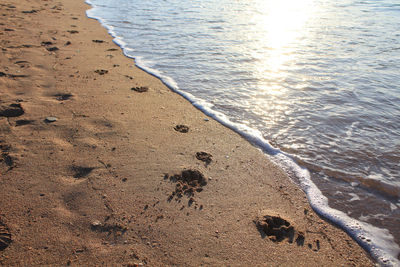 High angle view of beach