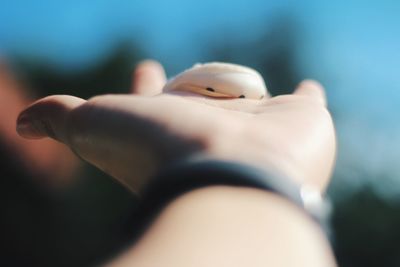 Close-up of hand holding hands