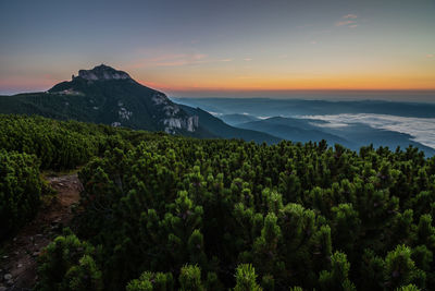 Scenic view of landscape against sky during sunset