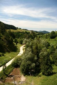 Scenic view of river amidst trees against sky