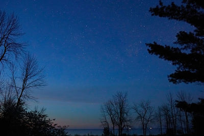 Low angle view of silhouette trees against sky at night