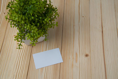 High angle view of vegetables on table