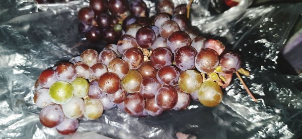 Close-up of grapes