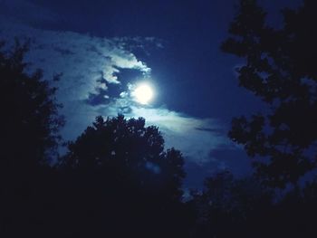 Low angle view of silhouette trees against sky at night