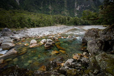 Stream flowing through rocks in forest