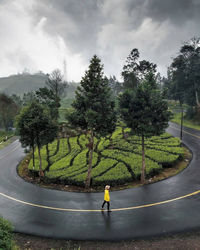 Man on road by trees against sky