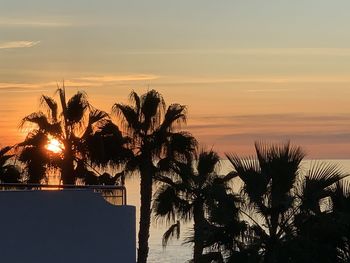 Silhouette palm trees against sky during sunset