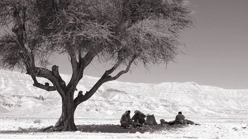 People sitting on tree trunk against clear sky