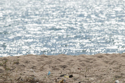 Surface level of sandy beach