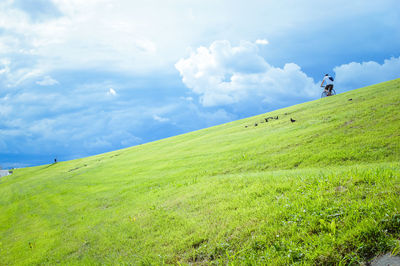 Man riding bicycle on grassy field against sky