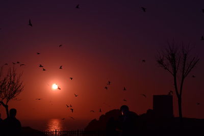 Silhouette birds flying in the sky