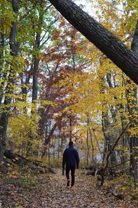 Rear view of man walking on street in forest