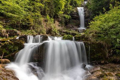 Scenic view of waterfall in forest