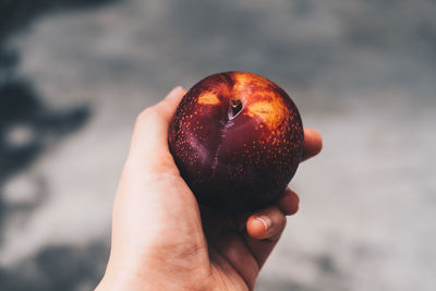 Close-up of hand holding apple
