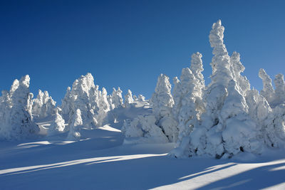 Snow covered landscape against clear blue sky