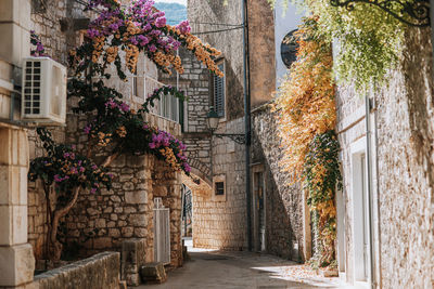 View of old building
