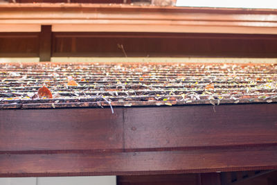 View of bird perching on roof