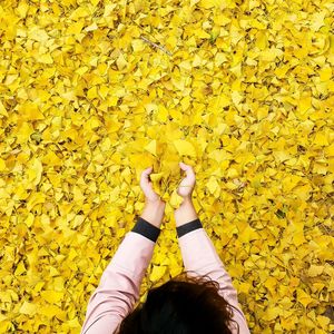 High angle view of woman holding yellow dry leaves during autumn