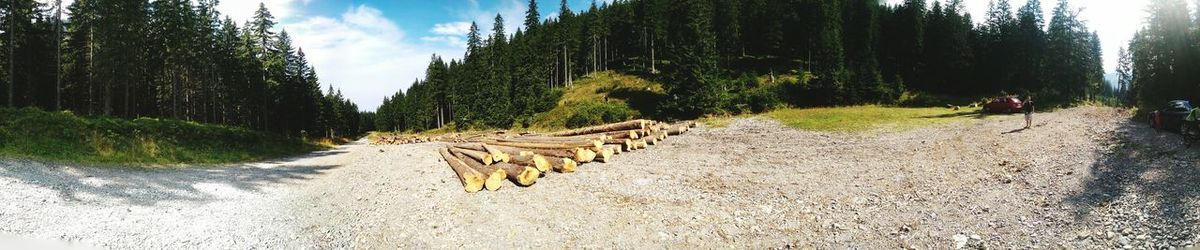 Panoramic view of road amidst trees against sky