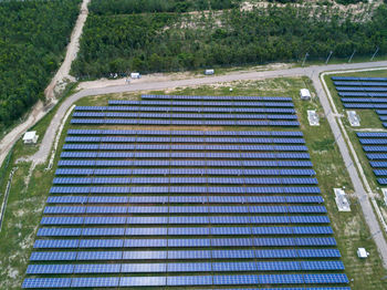 High angle view of plants growing on land