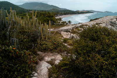 Scenic view of landscape