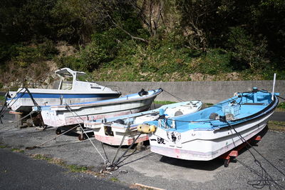 Boat moored on shore