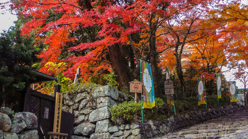 Trees and plants growing by building during autumn