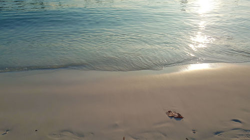 High angle view of beach