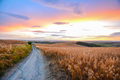 Scenic view of field against sky during sunset