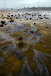 Scenic view of beach