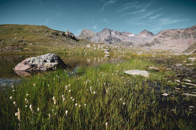 Scenic view of land against sky